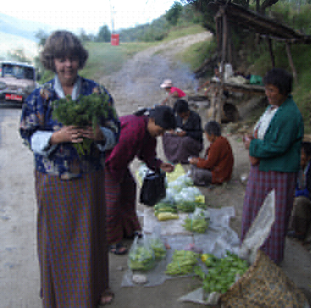 Buying fiddlehead ferns